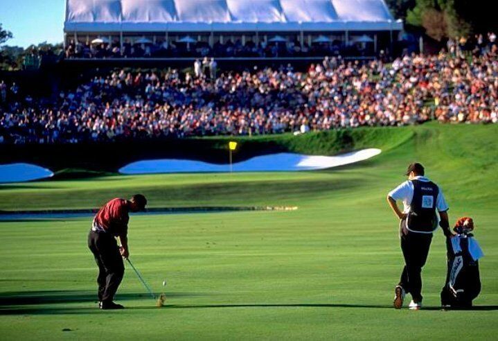 Tiger Woods, Amex, tee 17