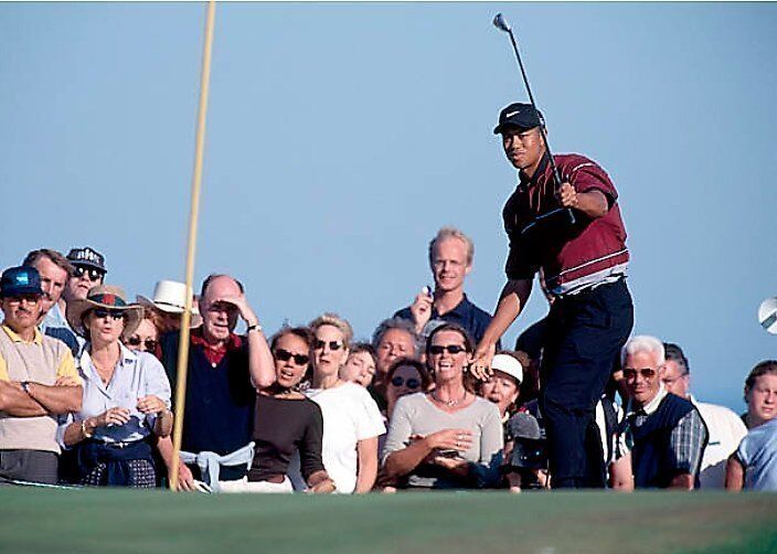 Tiger Chip In, AMEX