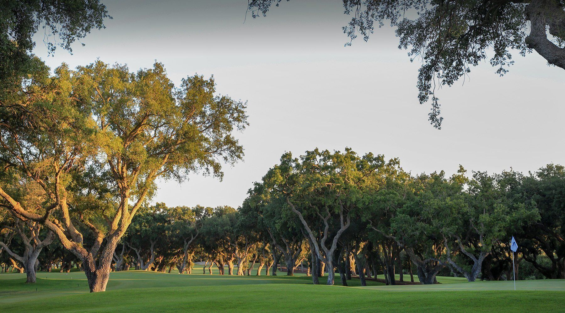 Valderrama Golf Club golf course