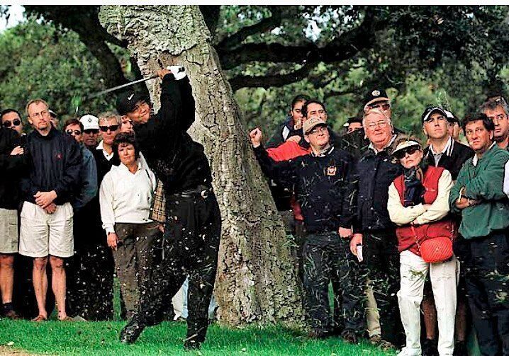 American Express Championship, Tiger Woods under the trees