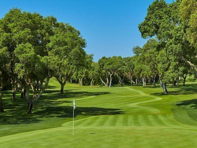 Hole 13 - Real Valderrama Golf Club